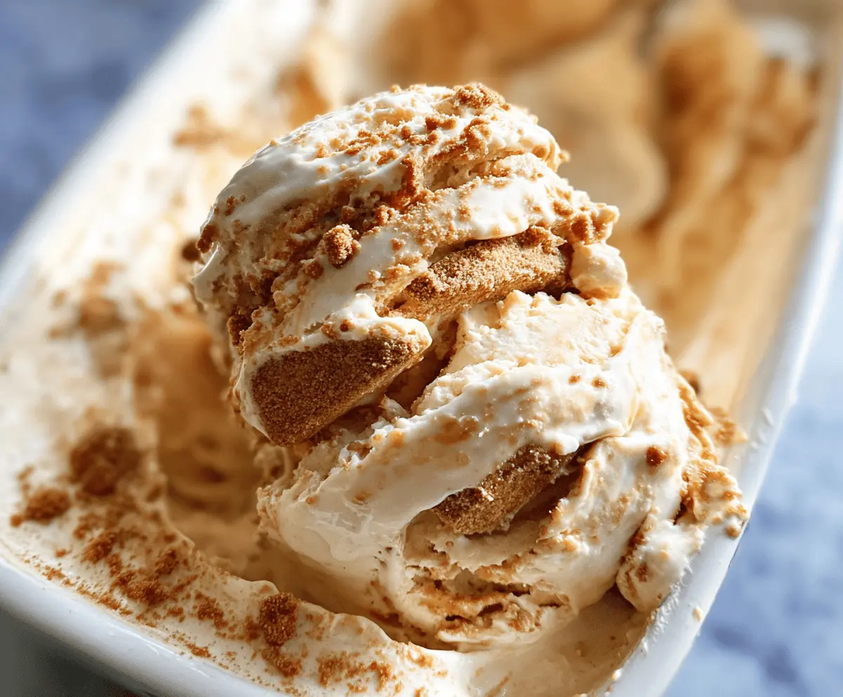 Easy Homemade Biscoff Ice Cream Recipe