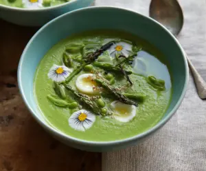 Vibrant Primavera Spring Green Soup garnished with fresh herbs in a white bowl